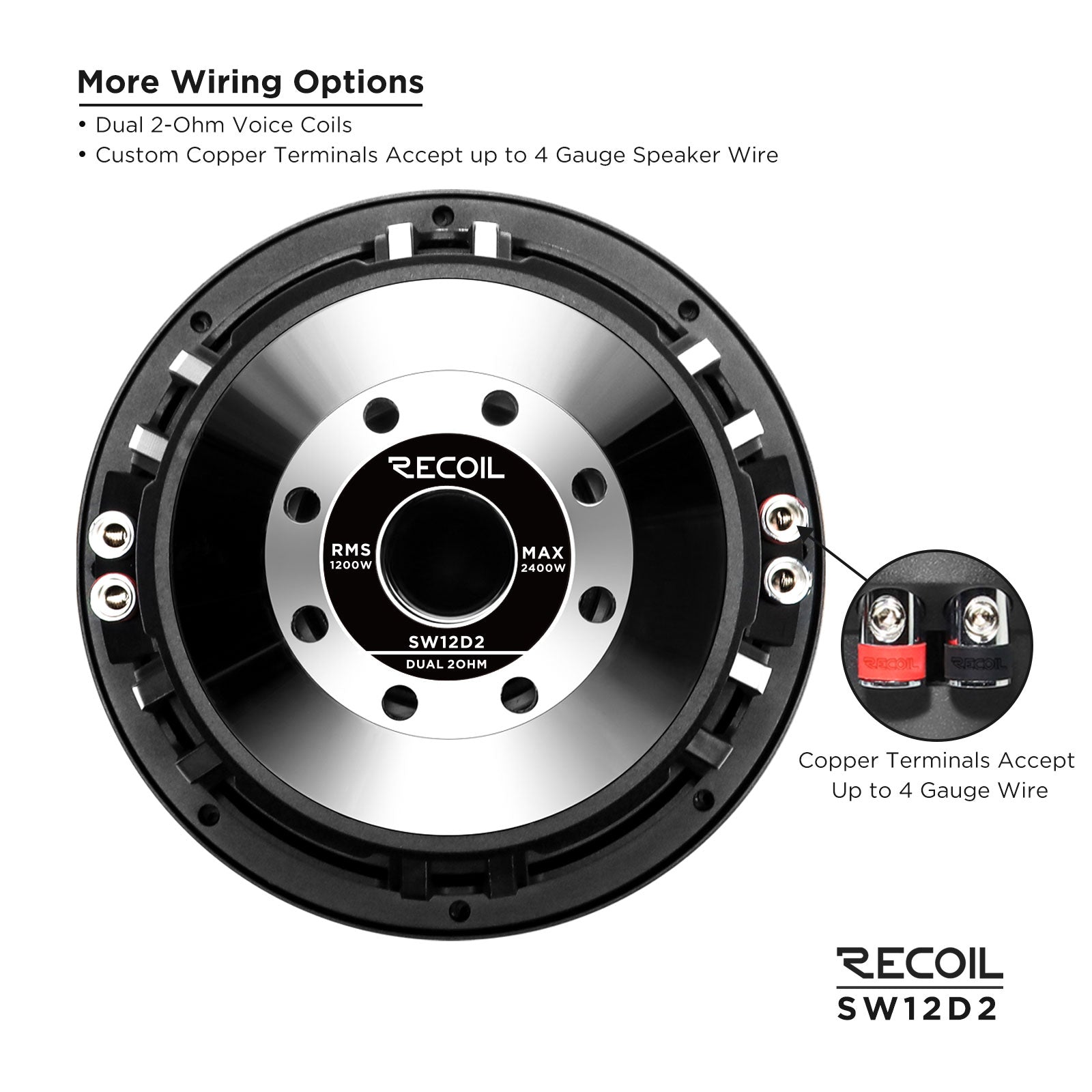SW12D2 - 12-inch Dual 2-ohm Subwoofer – Recoil Audio USA