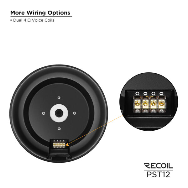 PST12 Hidden 12” Passive Car Audio Spare Tire Subwoofer System - Image 5